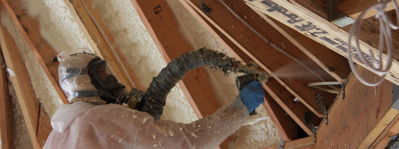 Delaware Attic Insulation Spray Foam Delaware Attic Insulation Spray Foam